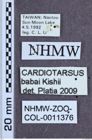 Etikett zu Cardiotarus babai (Kishii, 1994)